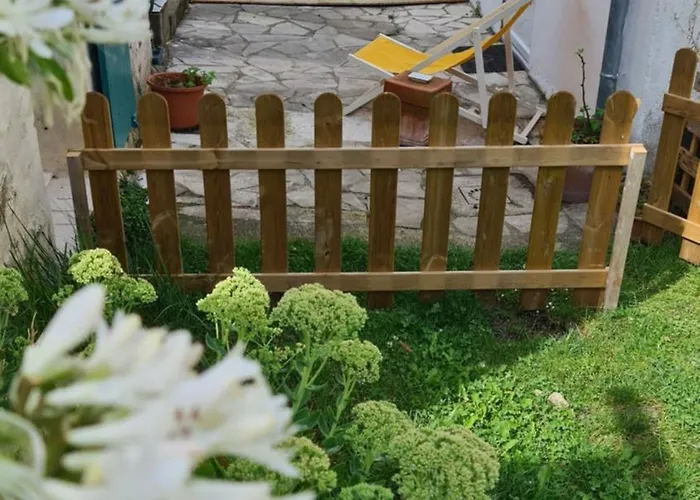 Le Dans Le Jardin. *